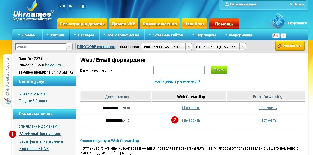 Как сменить домен. Посмотреть работу веб Форвардинг.