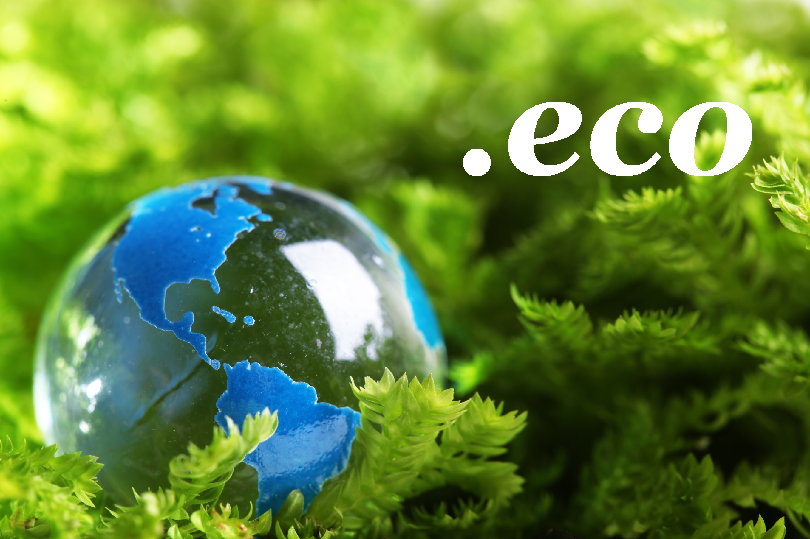 Охрана окружающей среди. Экология. Защита окружающей среды. Экология окружающей среды. Окружающая среда.